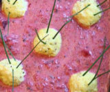 Minestra di rape rosse con gnocchetti di tofu