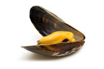 Cozze allo zafferano