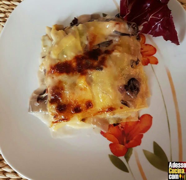 Lasagne al radicchio rosso e taleggio